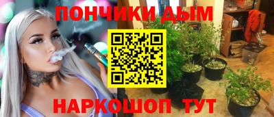 индика Лесосибирск