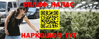 индика Лесосибирск