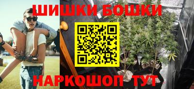 индика Лесосибирск