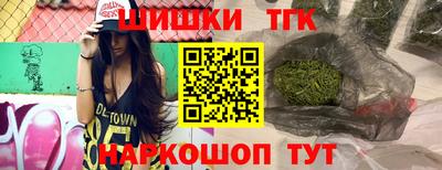индика Лесосибирск